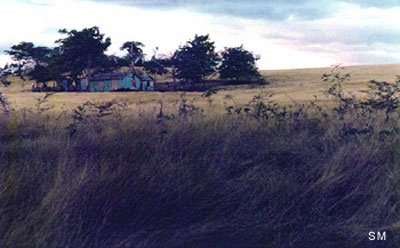 house in field