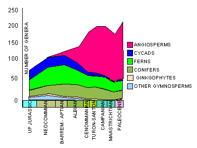 Lidgard & Crane Generic
Diversity