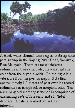 Black Water Channel, Rajang River Delta, Sarawak