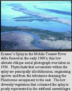 Crevasse splay; Mobile-Tensaw River delta, AL