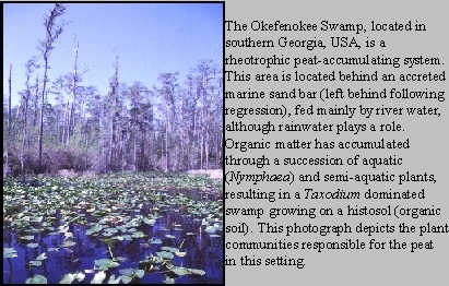 Okefenokee 
Swamp
