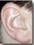 oreja