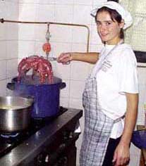 pulpo