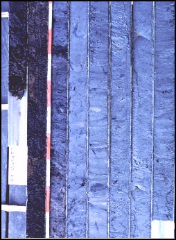 Vibracore in Rajang River Peat Swamp