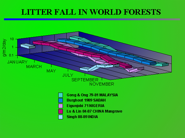 Litterfall World's Forests