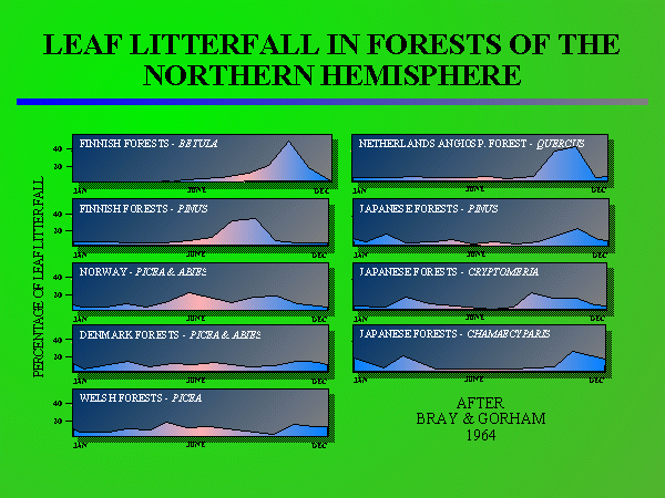 Northern Hemisphere Litterfall