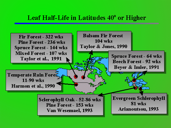 Leaf Half-Life 
40<sup>o</sup> & Higher