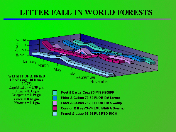 Litterfall in World's Forests